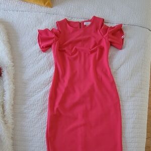 Calvin Klein Pink Dress